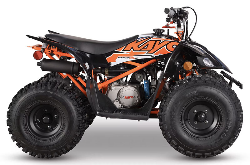 Kayo☆ New 2025 Kayo TD 110 EFI Dirt Bike | Motorcycles in Forest