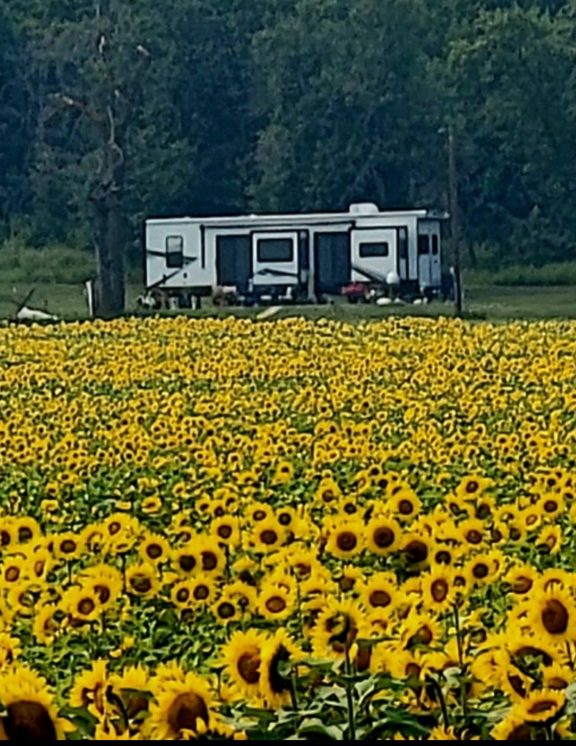 2021 Forest River Sierra Destination 420FL RV