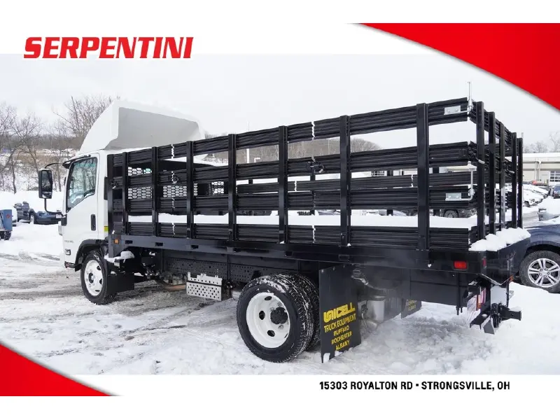 2025 Chevrolet 5500 HG LCF Gas