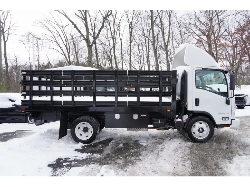 2025 Chevrolet 5500 HG LCF Gas