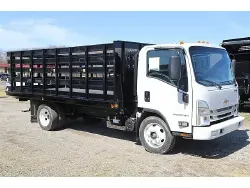 2025 CHEVROLET 4500 HG LCF Gas