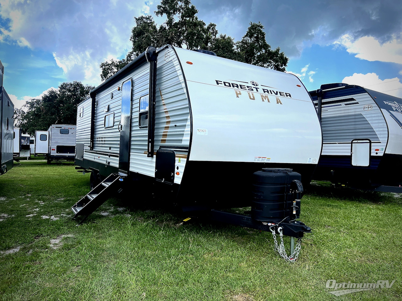 2026 Palomino