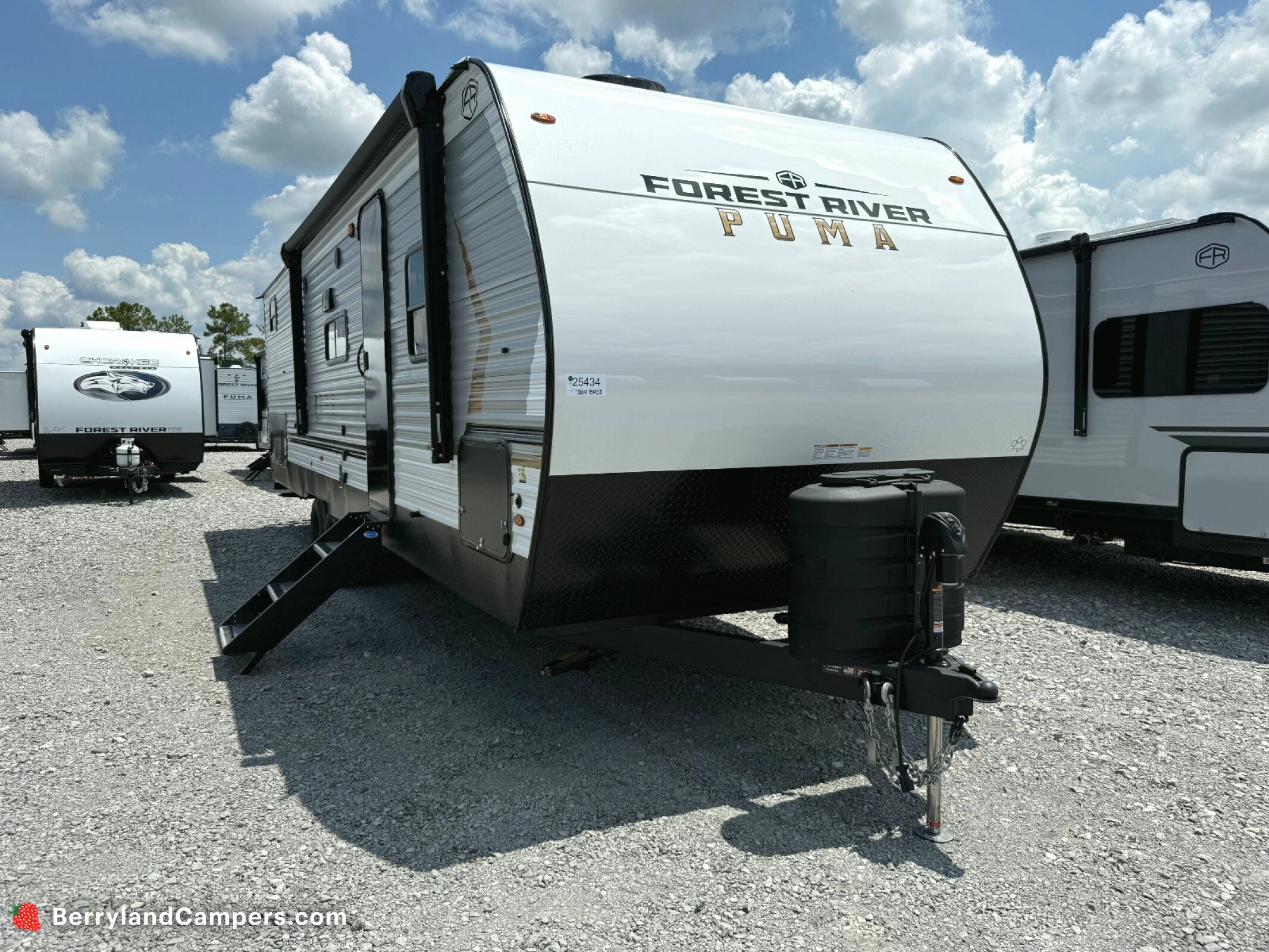 2026 Palomino