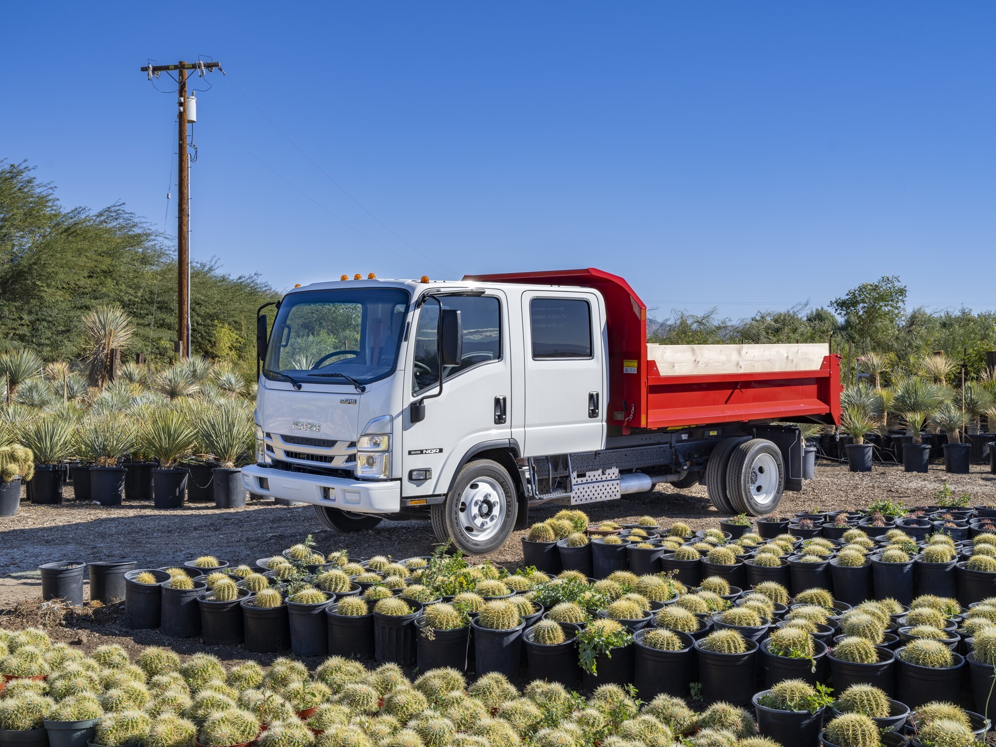 2025 ISUZU NRR in Mountainside, NJ