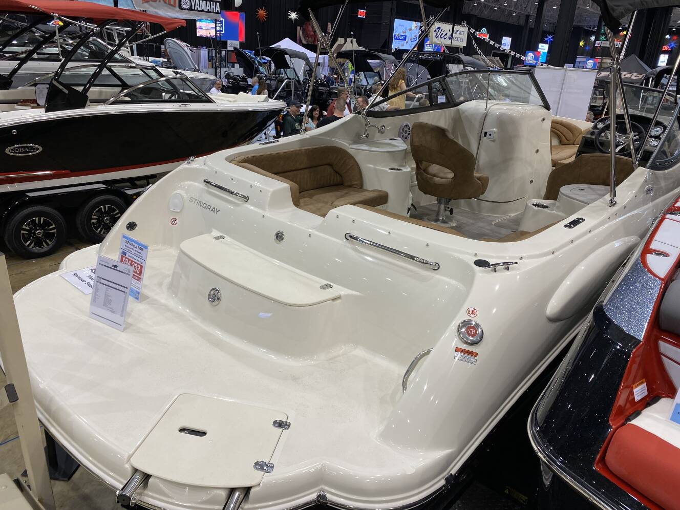 A photo of this 2022 Stingray 250 Lr