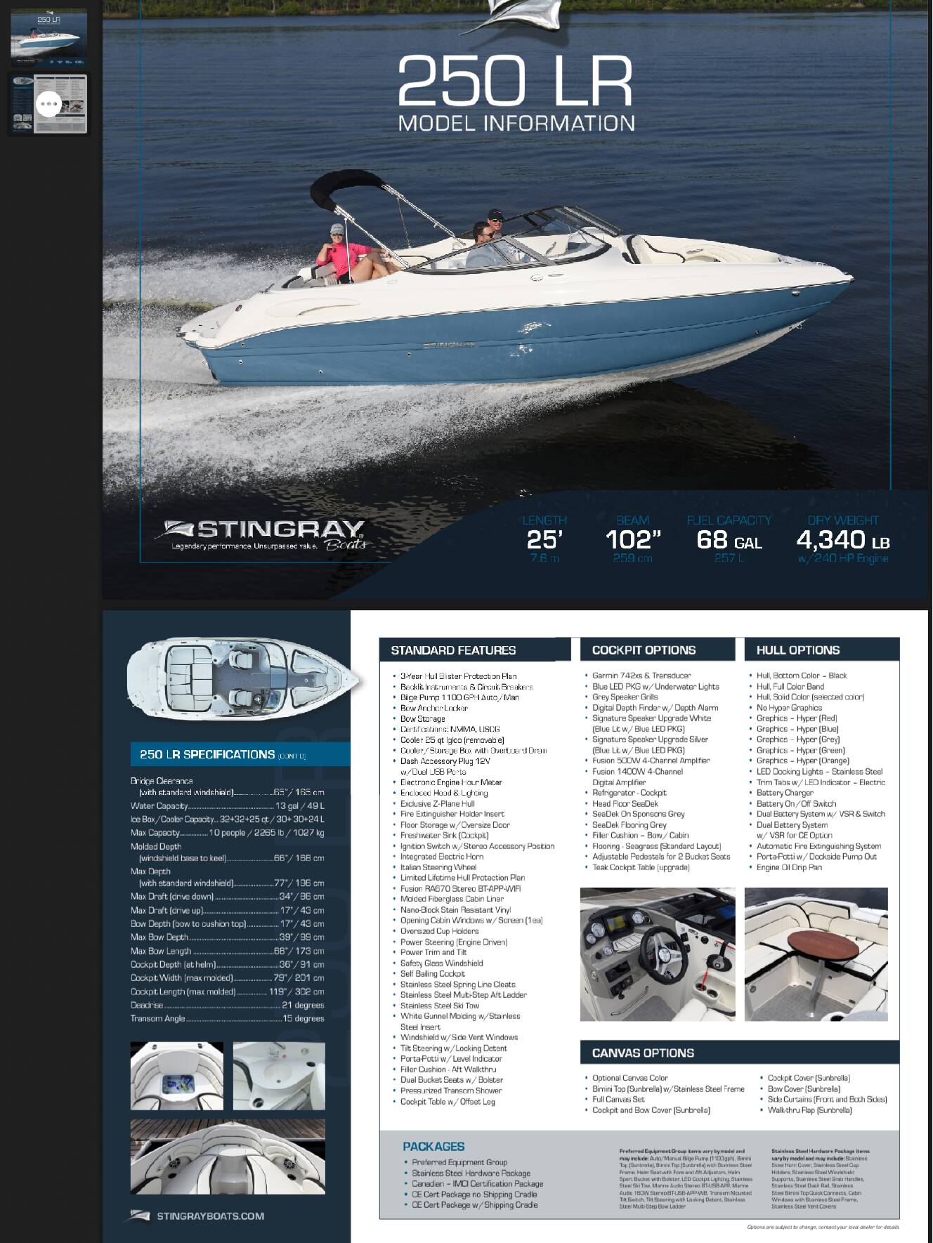 A photo of this 2022 Stingray 250 Lr