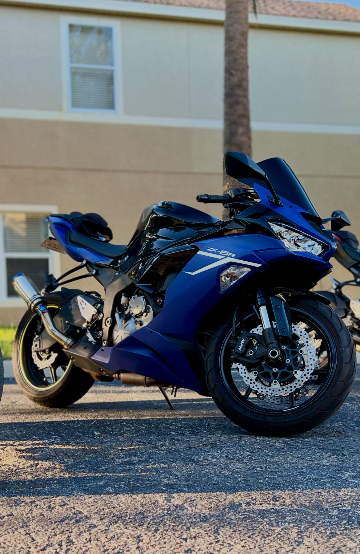 35000→ 11/12〜19まで特別セール 2021 Kawasaki Ninja Motorcycles For Sale - Cycle Trader