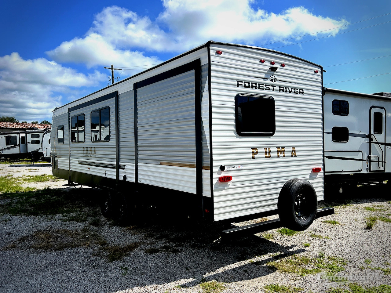 2026 Palomino