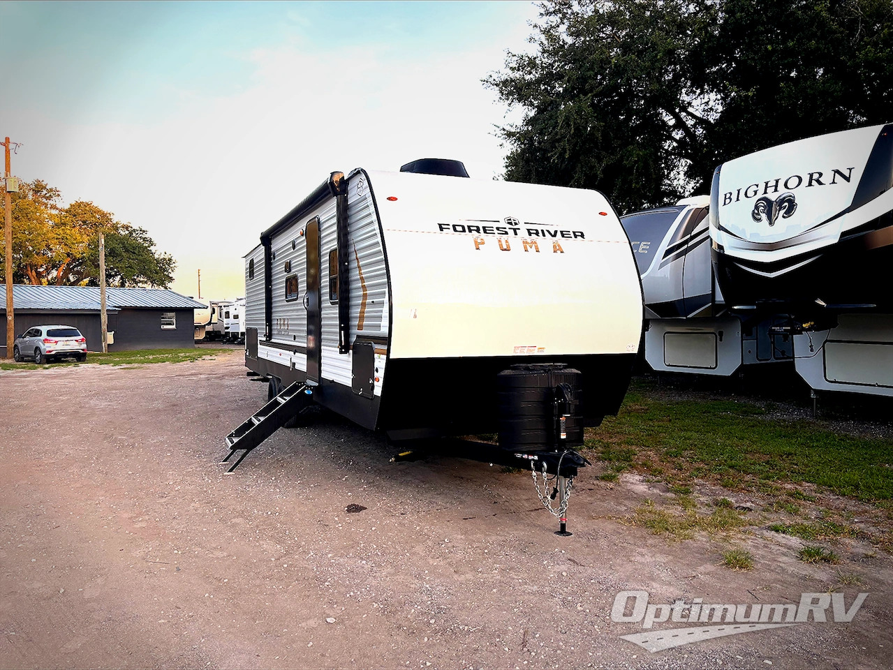 2026 Palomino