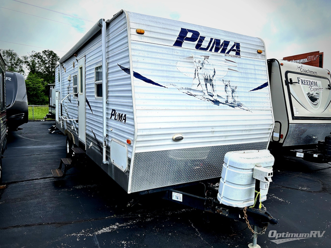 2007 Palomino