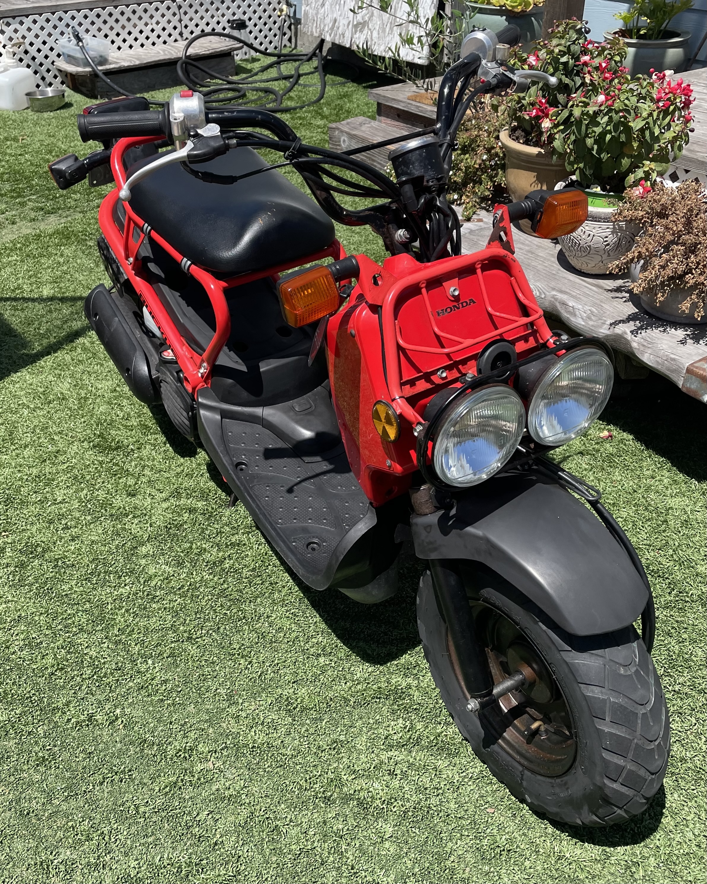 Used 2009 Honda Ruckus Nps50 For Sale in Torrance, CA 5037612857
