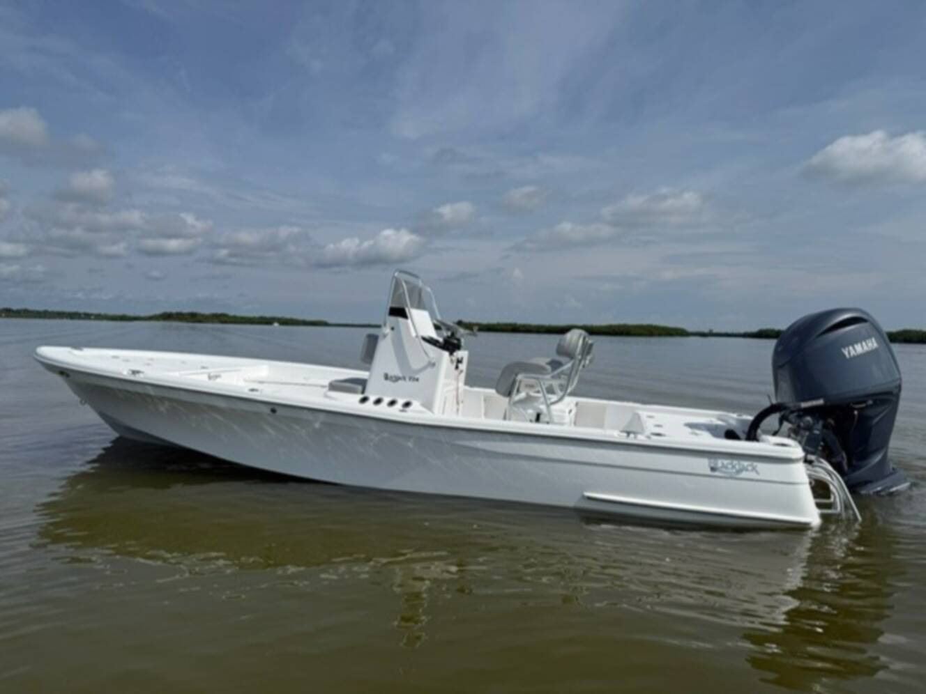 A photo of this 2026 Blackjack 224 BAY