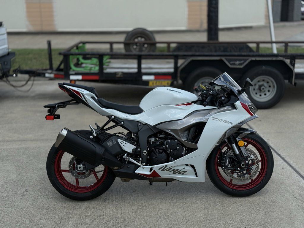 TEN STRIPE S/S WHITE M』 White ZX10R --> What do you think