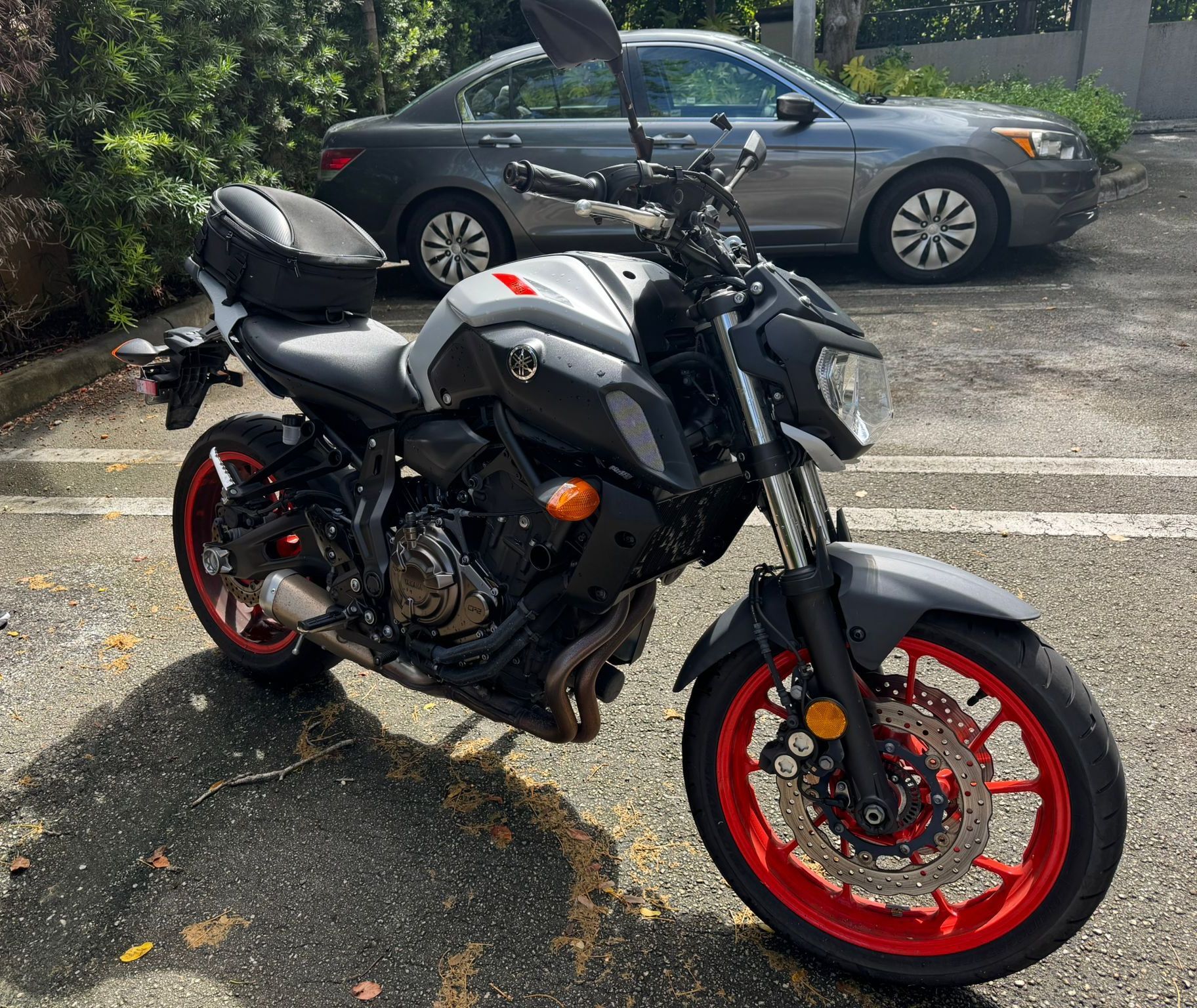 マイアミ オールマイティ TDII 51L BOA NISMO(ダイヤル／ローカット