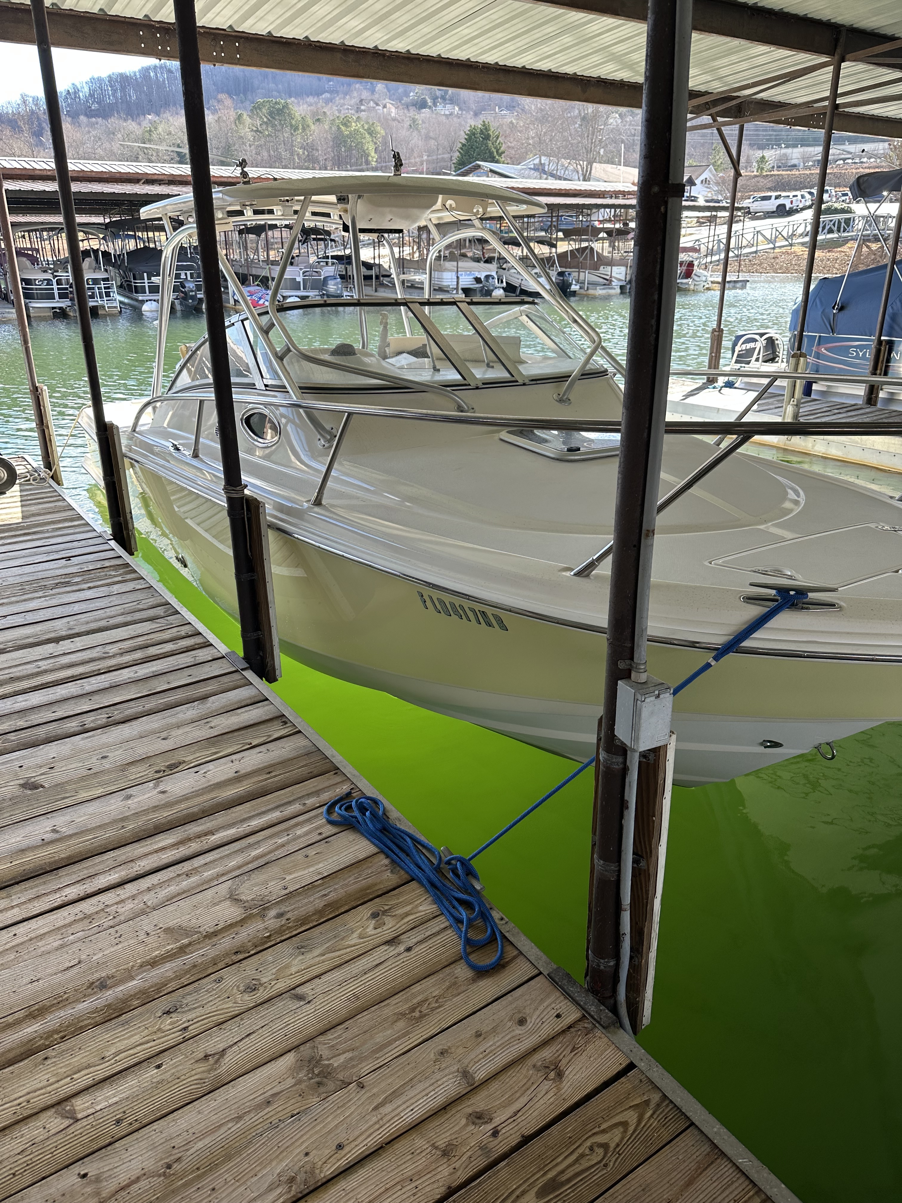 2005 Scout 242 Abaco in young harris GA