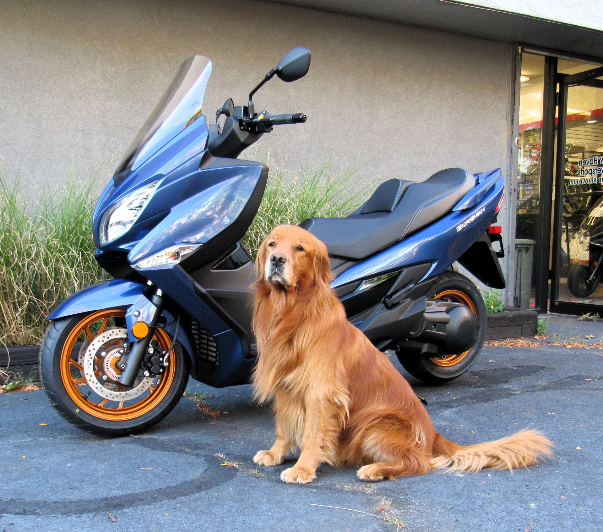 Motorcycles For Sale Near Delaware, MD - Cycle Trader