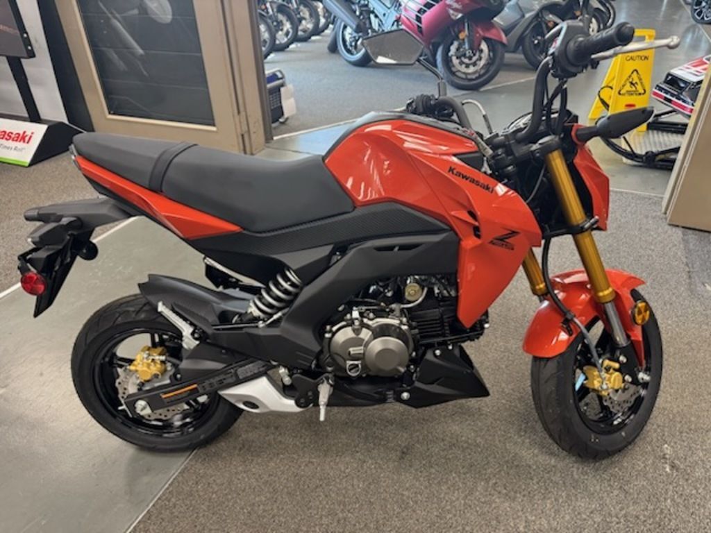 Moto OEM Kawasaki Z125 Pro Under Cowl – Steady Garage