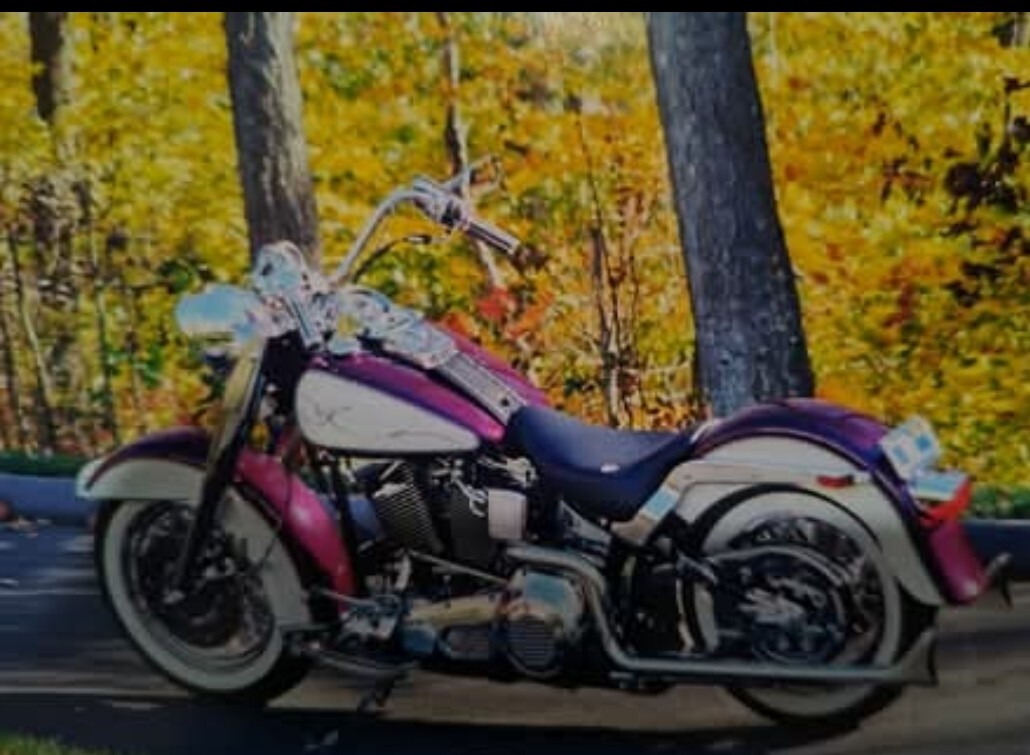 Harley-Davidson Heritage Softail Special Motorcycles For
