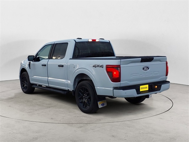 2025 Ford F-150 STX photo 2
