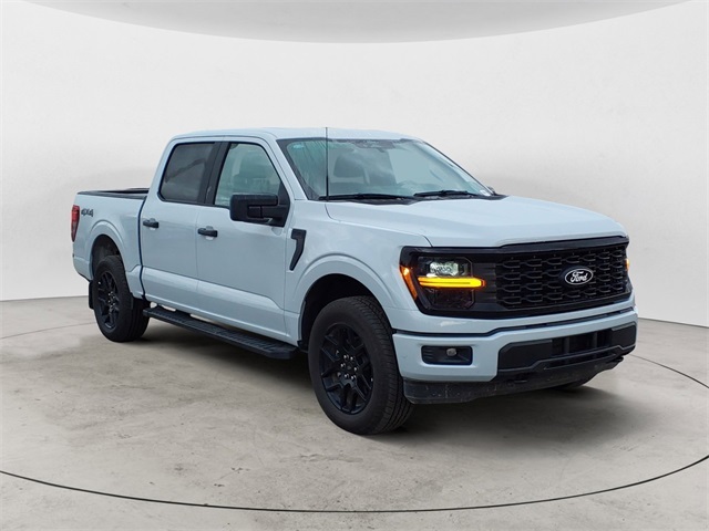 2025 Ford F-150 STX photo 6