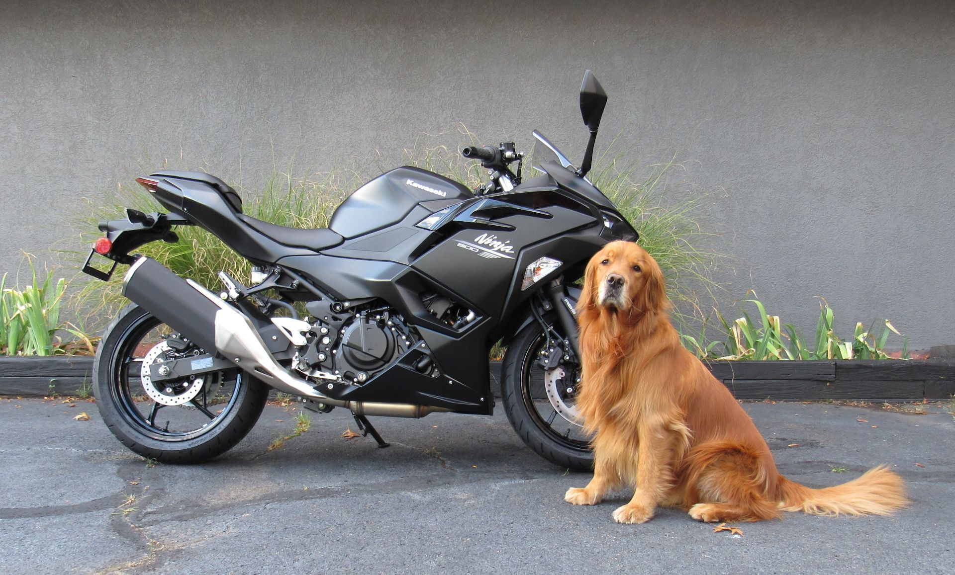 イチ Timing Points Cover 32638-11 2011 RG ULTRA 2011 Harley