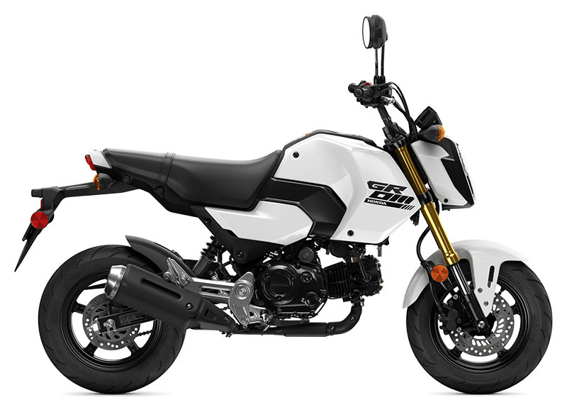 2026 Honda Grom in Johnson City, TN