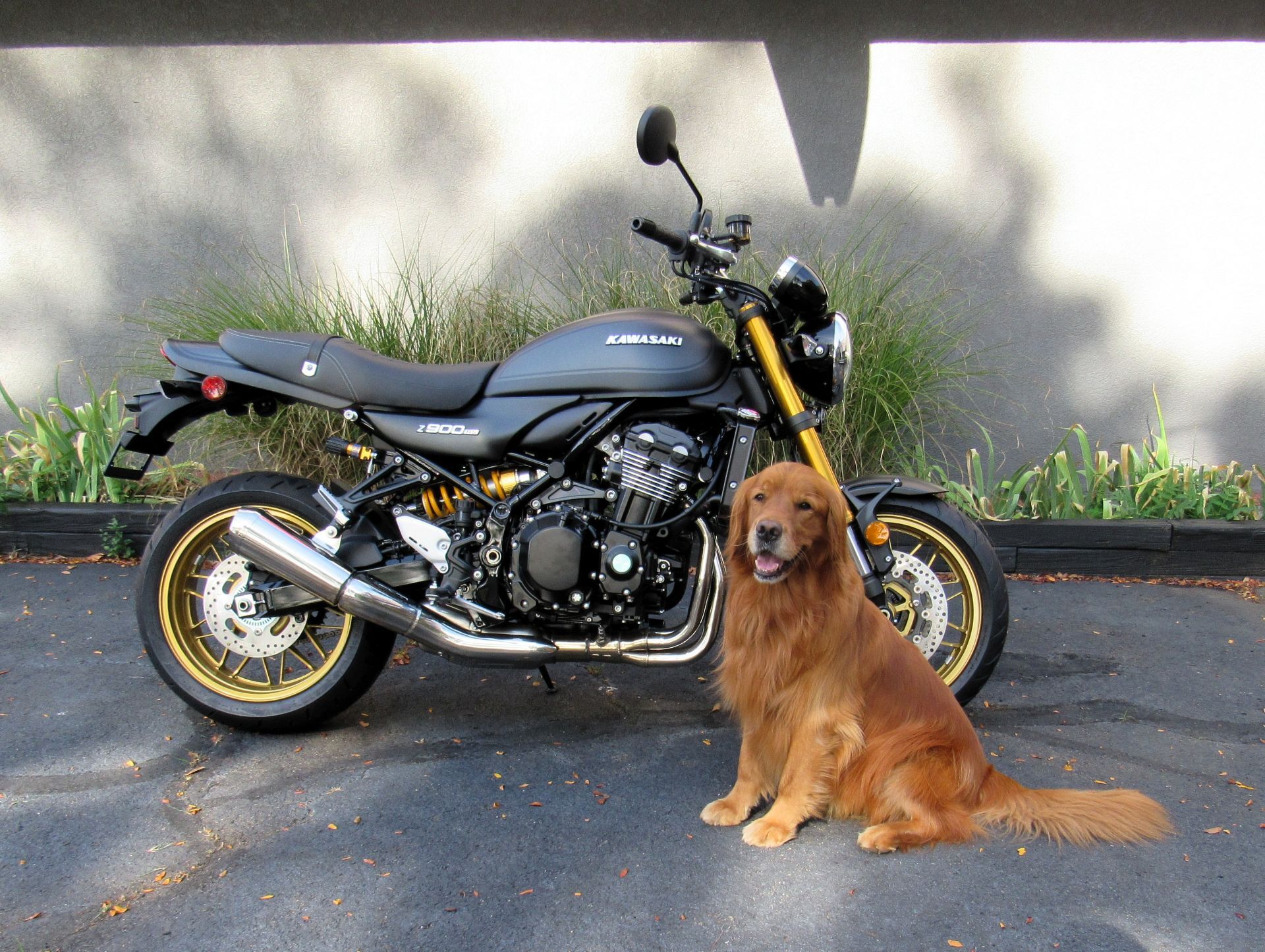 New Kawasaki Z1 Motorcycles For Sale - Cycle Trader