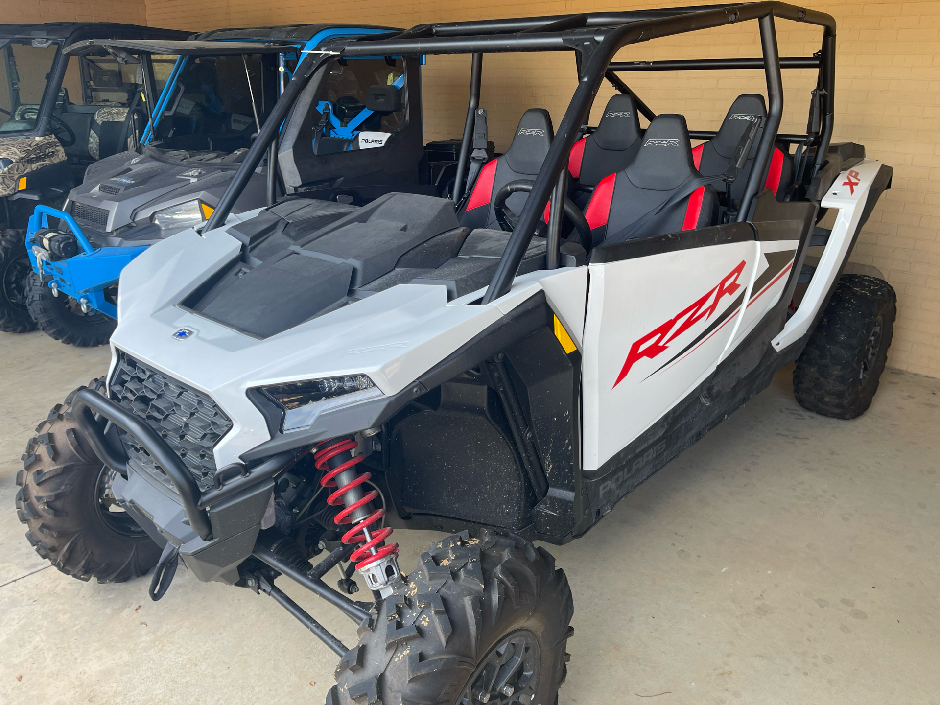 EXILE　フリスビー　USA Amazon.com | Polar Fox Ronny MPX806037 Mens Casual Work Lace