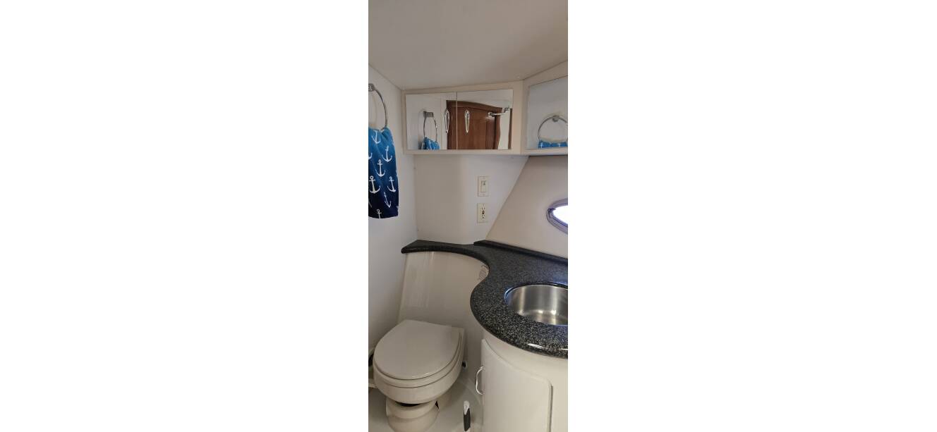 A photo of this 2006 Carver 444 Cockpit Motoryacht