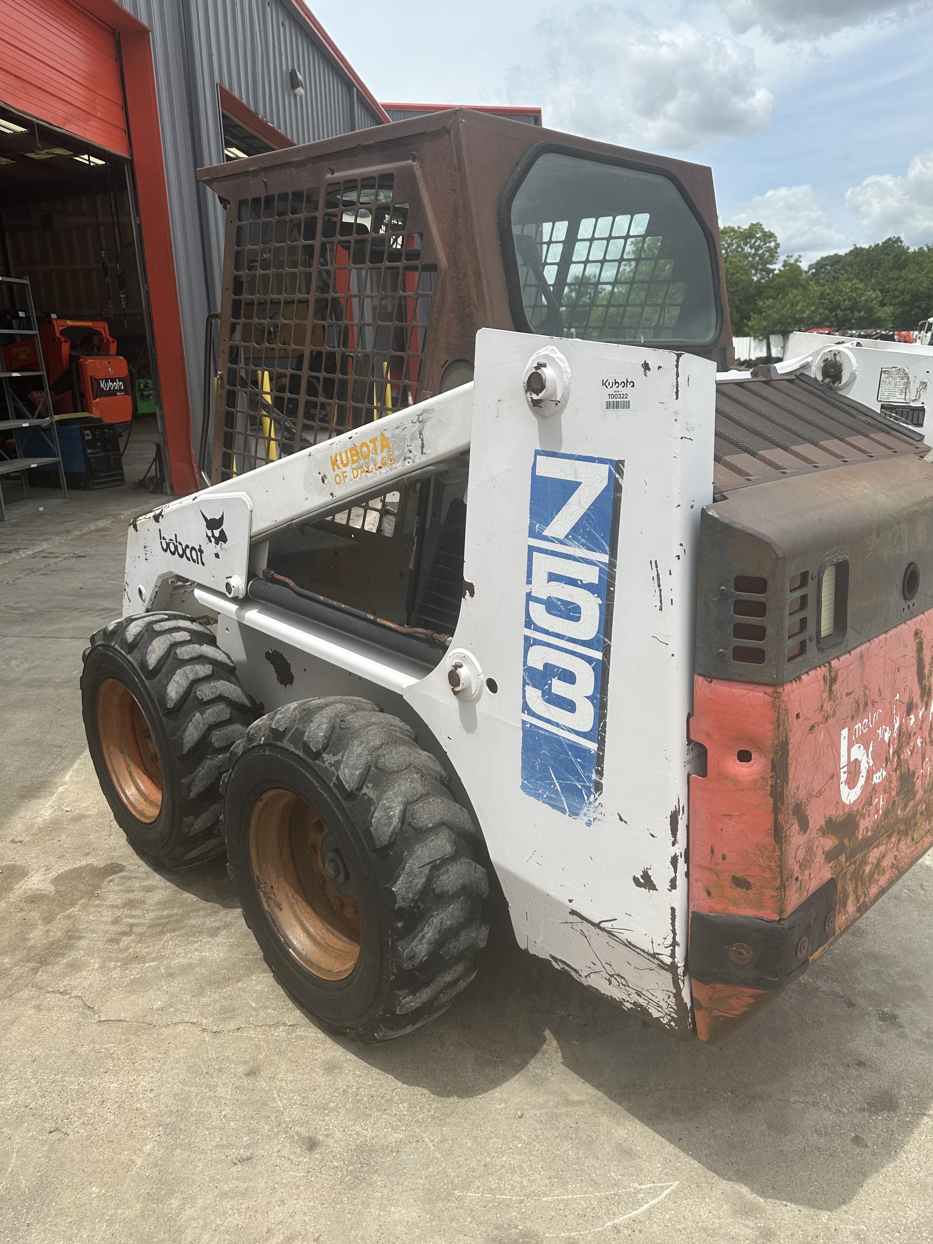 Rollin’ Genital Diseases in the Pregnant Female | IVIS