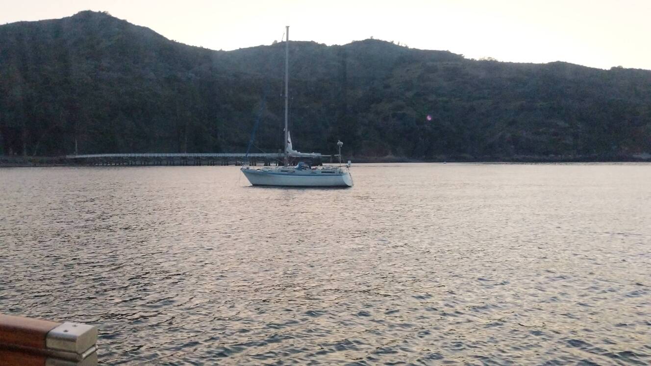 A photo of this 1981 Moody Other