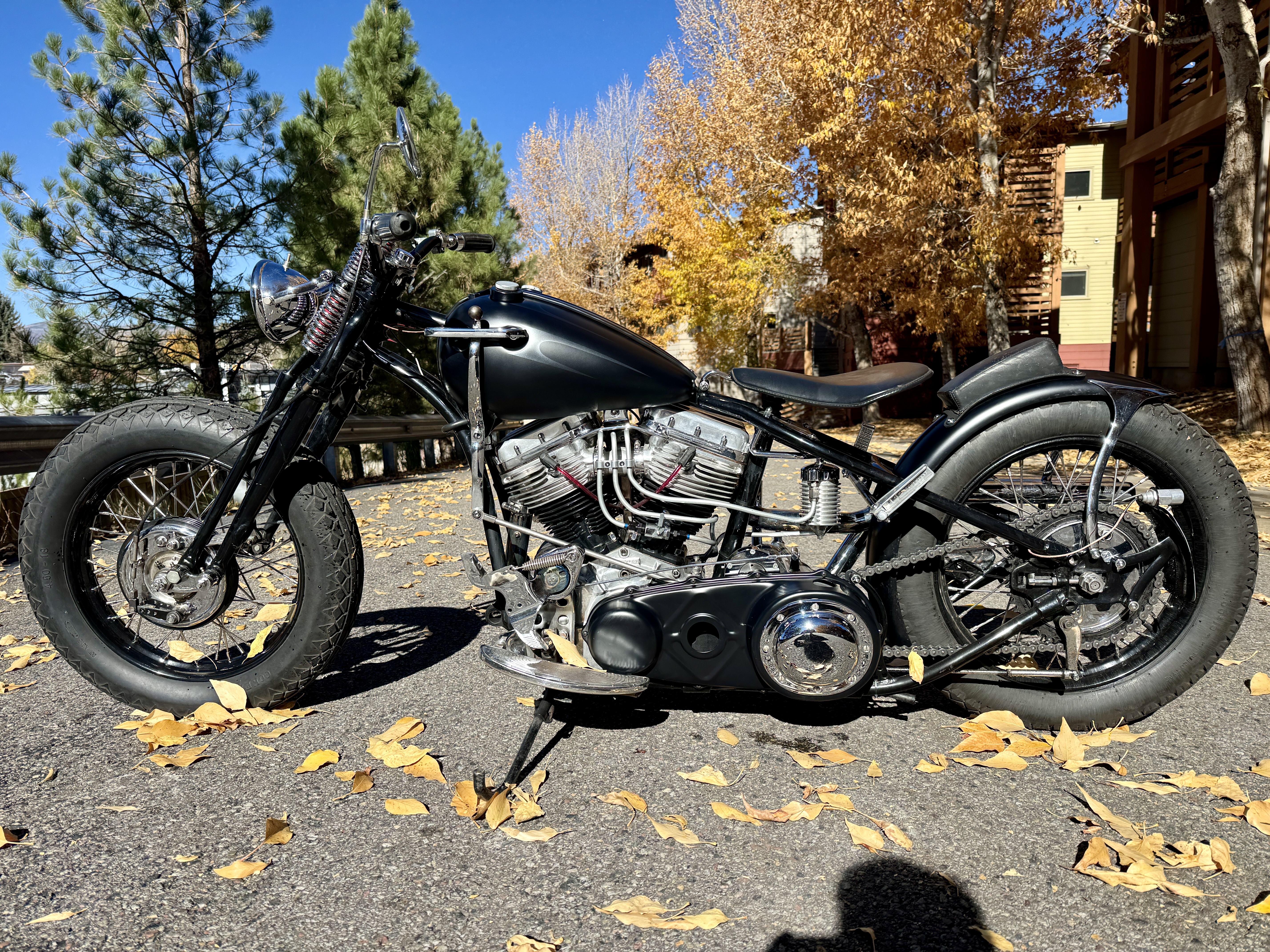 1957 Harley-Davidson Fl in aspen CO