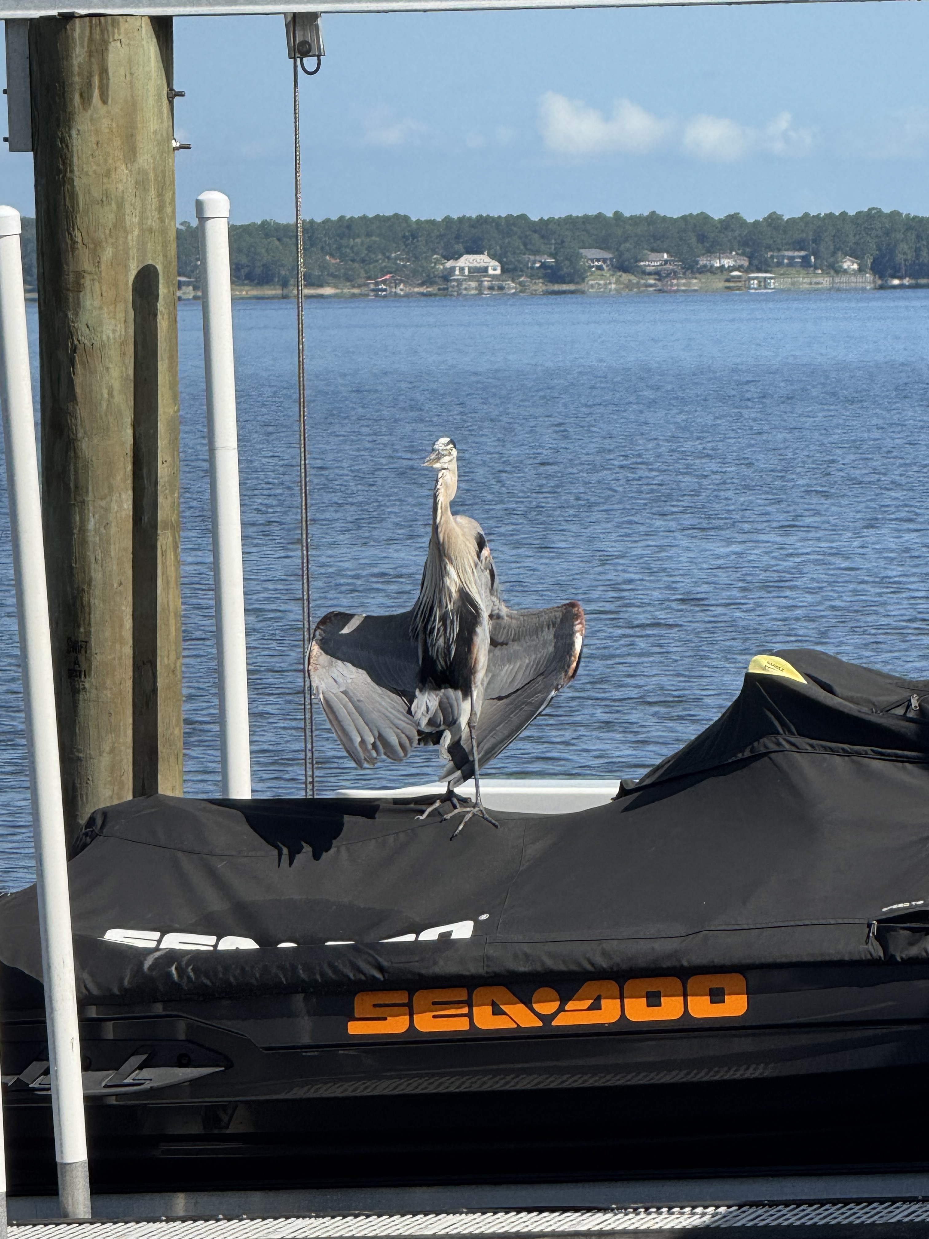 【最終値下】PELLICO フラット　スウェード　38.5 ネイビー PE252DP0734CAXX-91-1_1024x1024