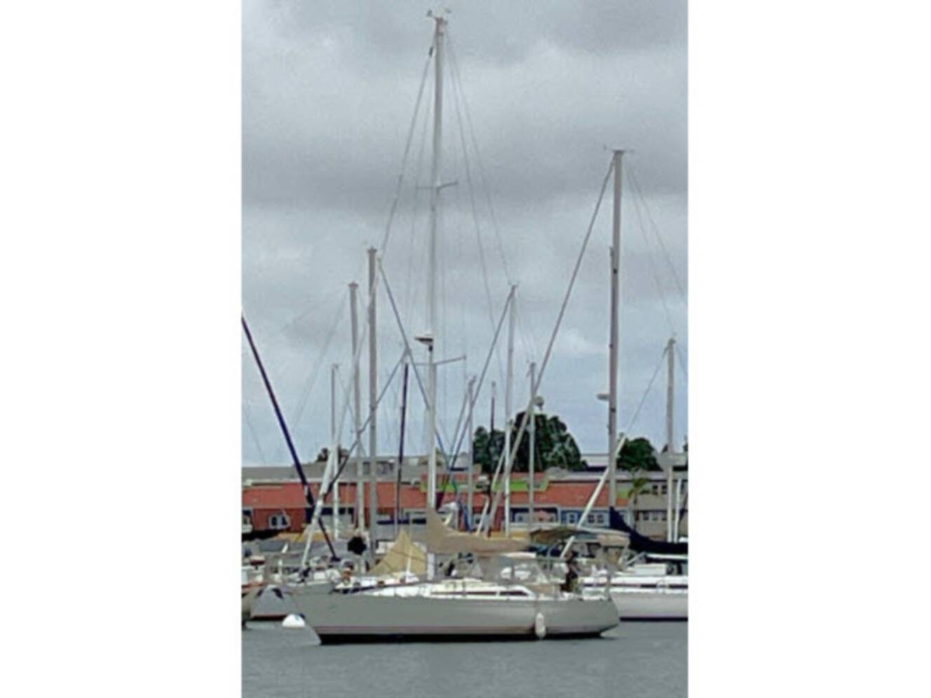 A photo of this 1989 C&C Yachts 37-40 PLUS