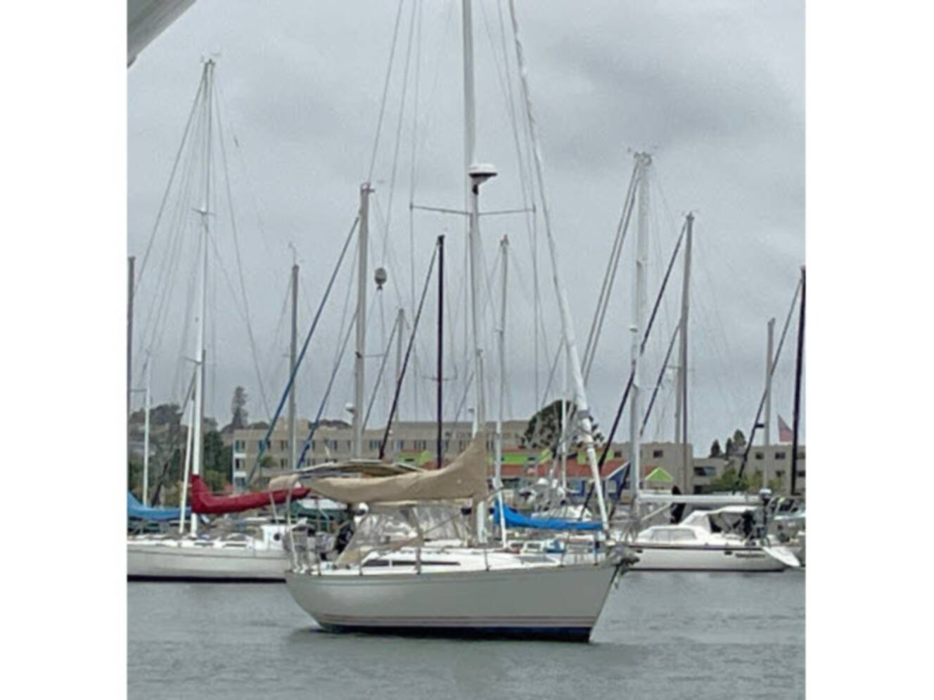 A photo of this 1989 C&C Yachts 37-40 PLUS