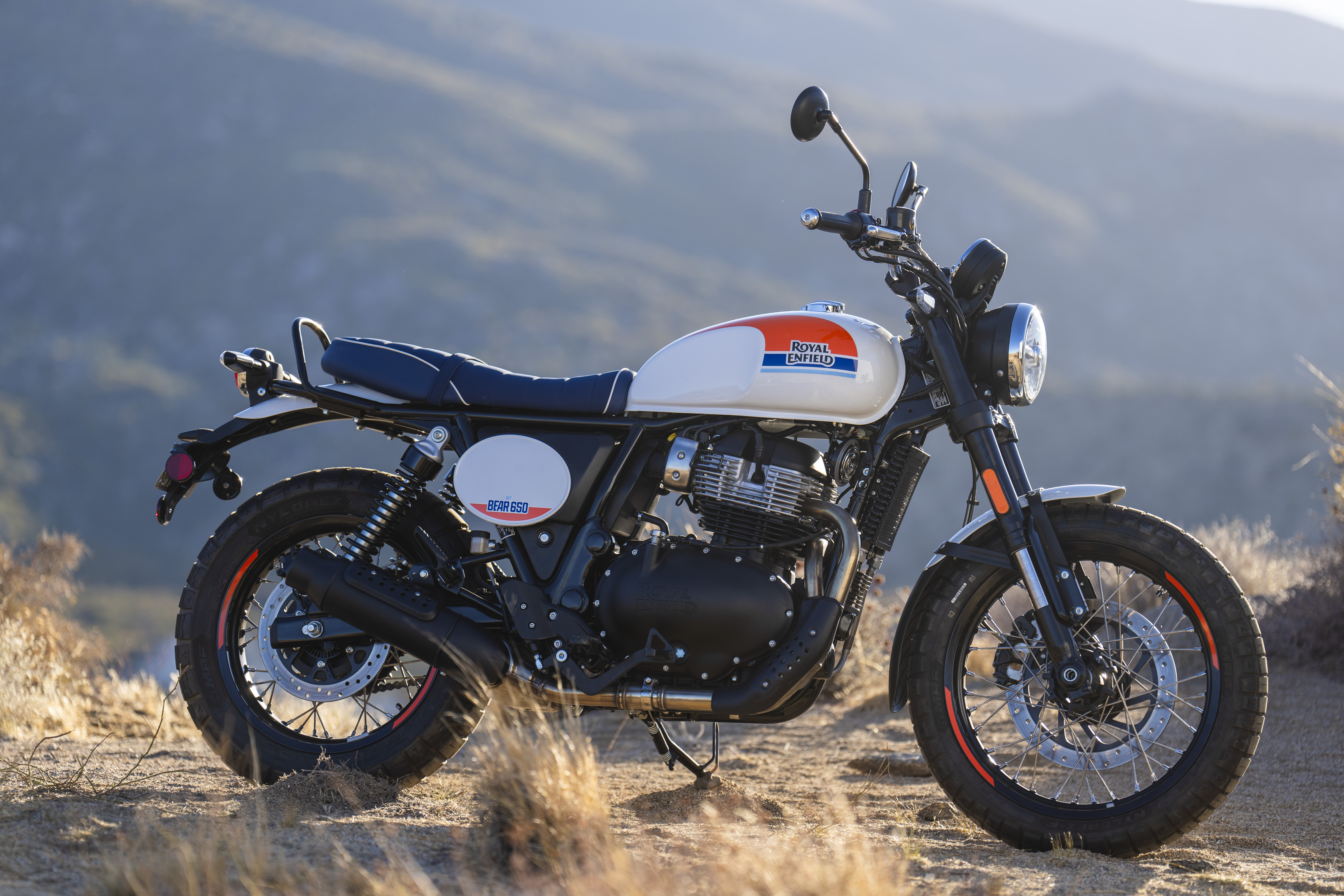 2025 Royal Enfield BEAR 650 650 in Xenia, OH
