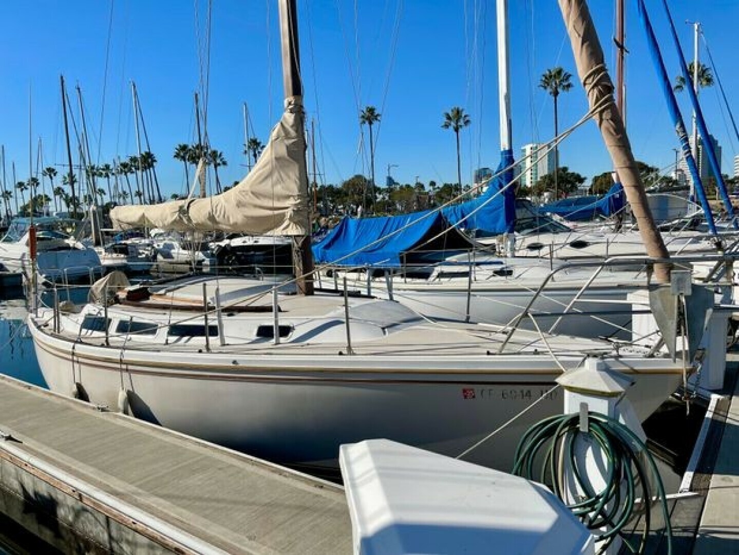 1983 Catalina in san pedro CA