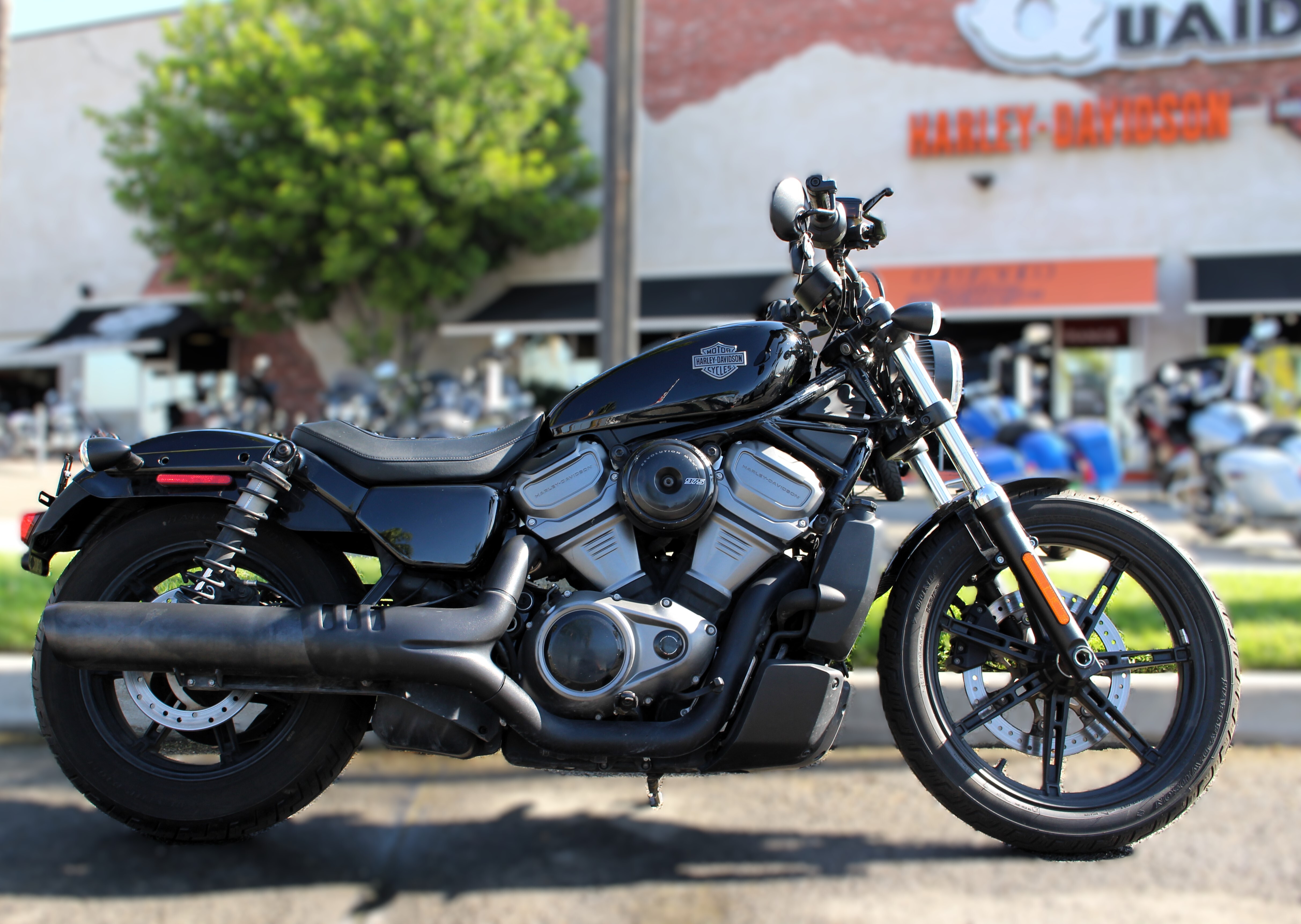 2023 Harley-Davidson NIGHTSTER in Loma Linda, CA
