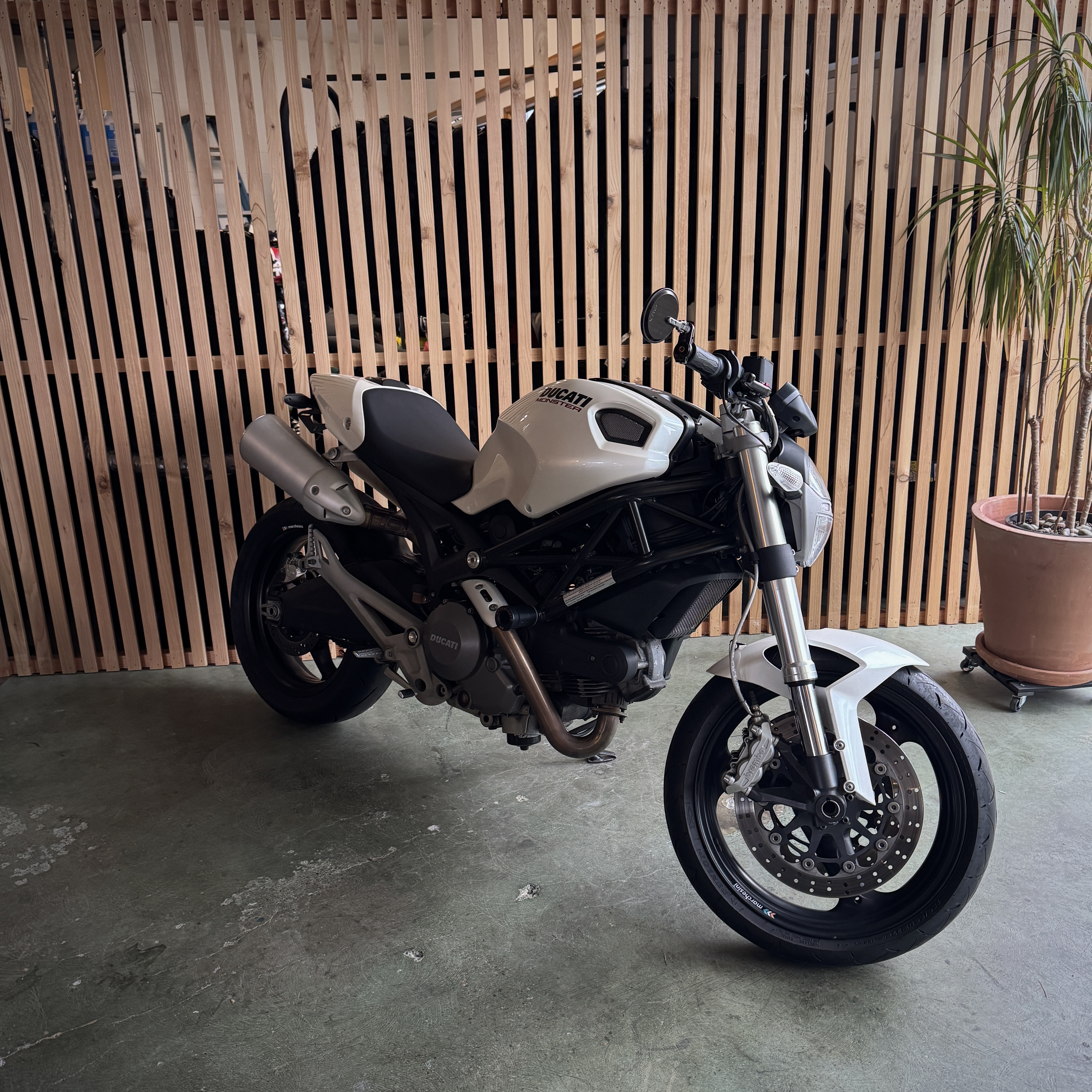 2009 Ducati Monster 696 Motorcycles For Sale - Cycle Trader