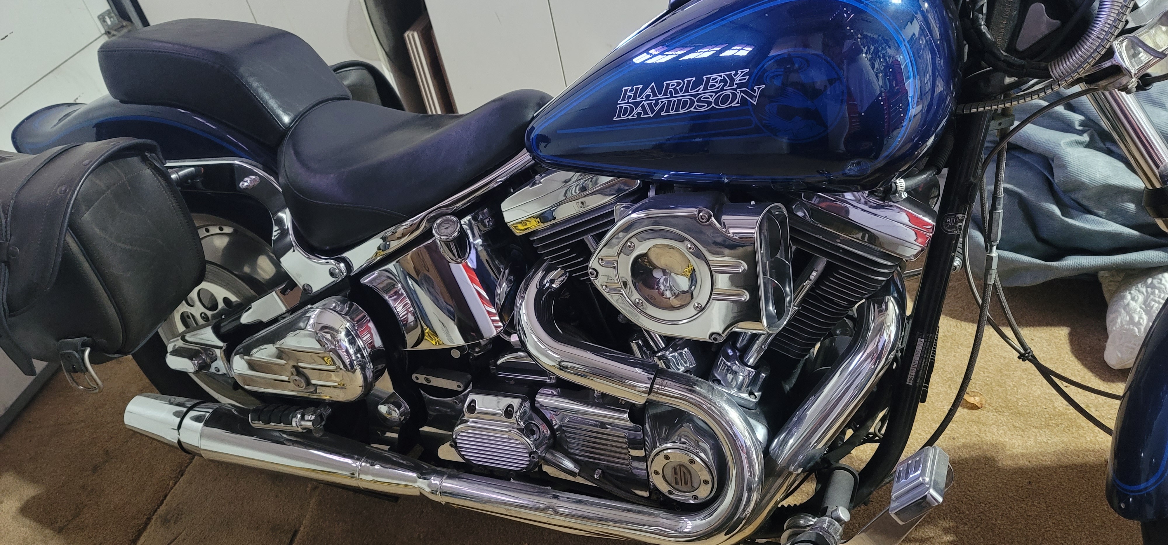 Harley-Davidson Softail Fxstc Motorcycles For Sale - Cycle Trader