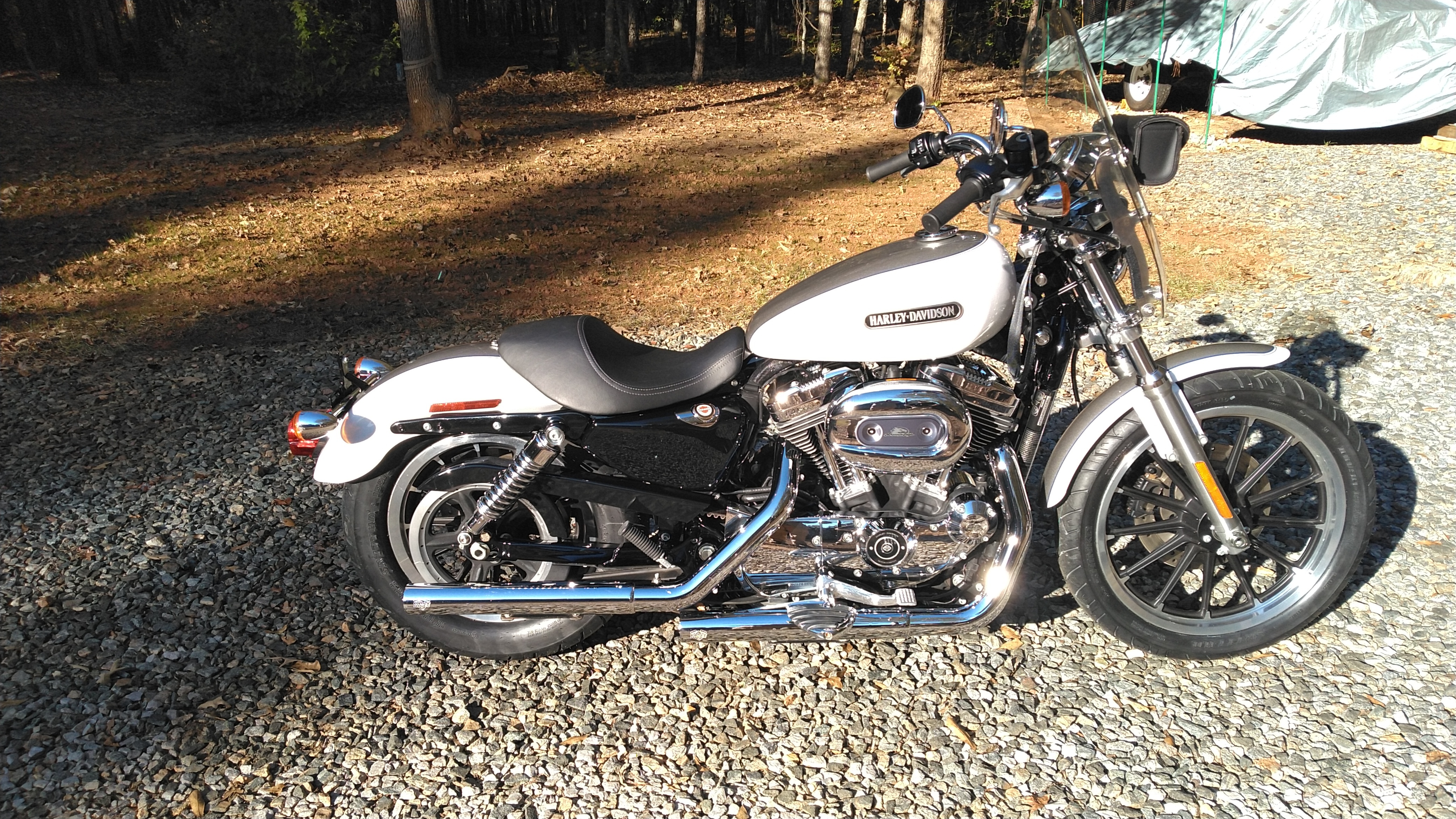 専用② 2008年式 XL1200R SPORTSTER フルカスタム エンジン好調(スポーツ