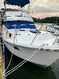 1988 Carver 3607 Aft Cabin Motoryacht Aft Cabin Boat boat