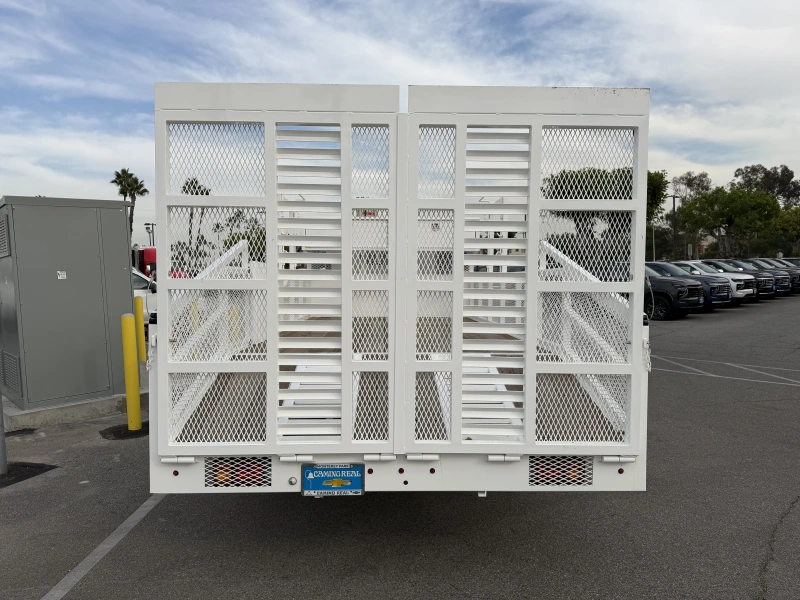 2025 CHEVROLET LOW CAB FORWARD 5500XG