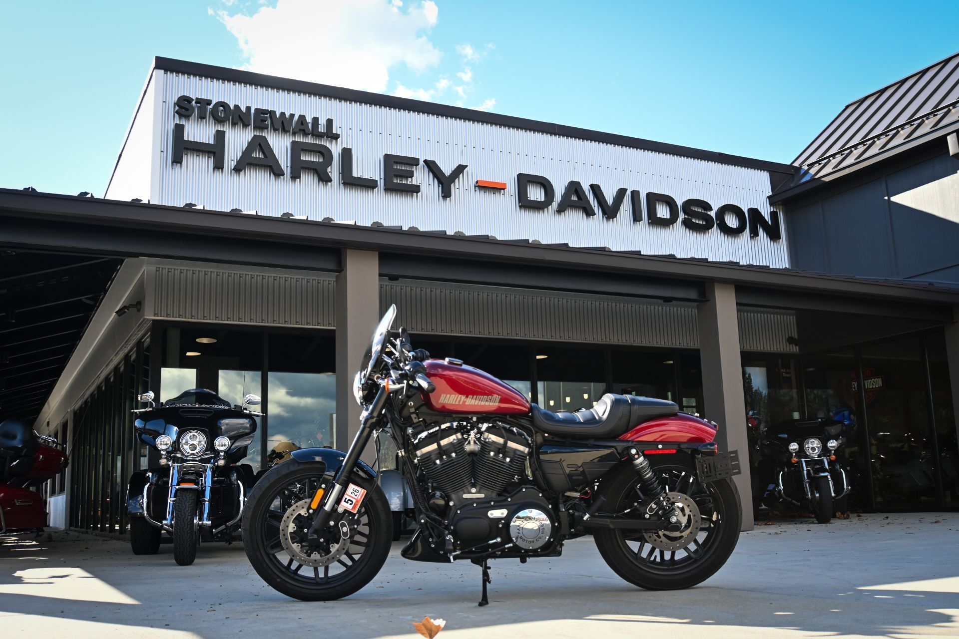 2017 Harley-Davidson Roadster™ in Ruckersville, VA