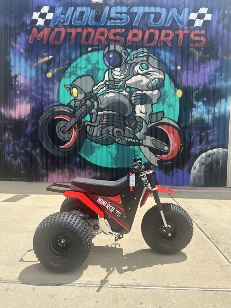 2025 Mini Rcr T3 in Webster, TX