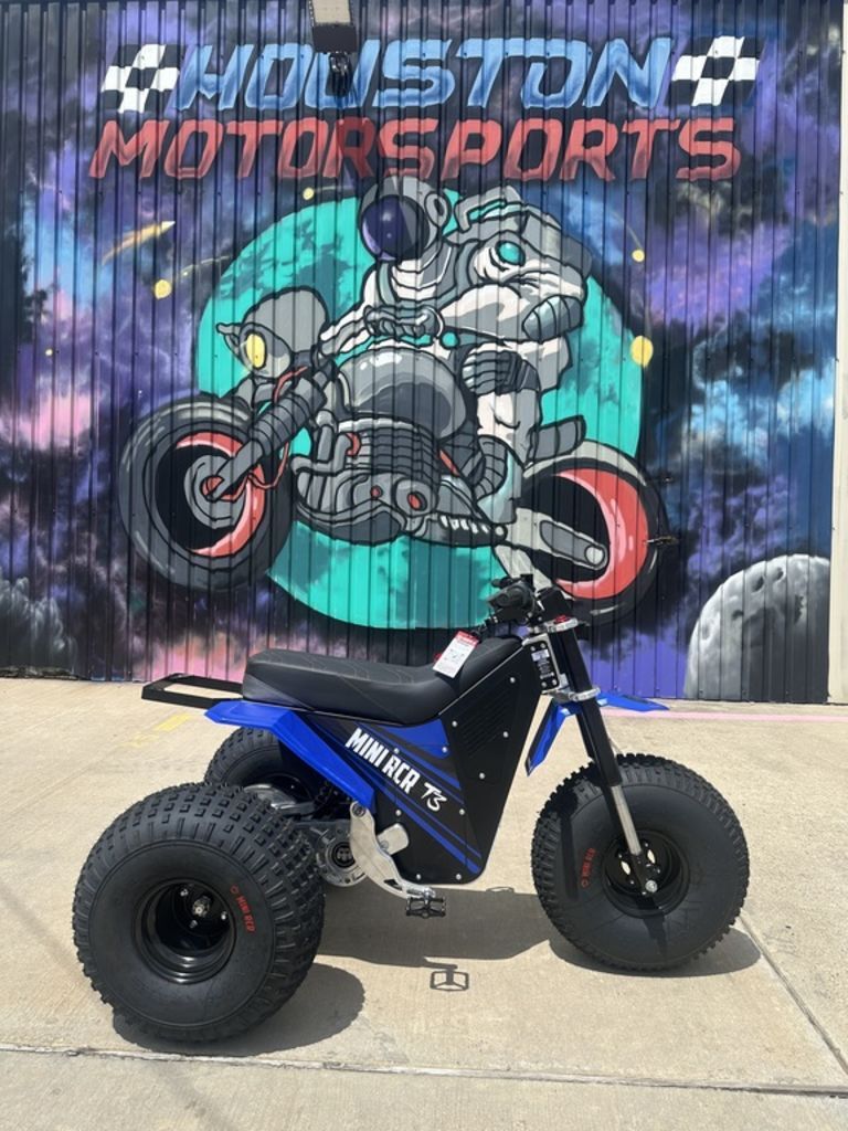 2025 Mini Rcr T3 in Webster, TX