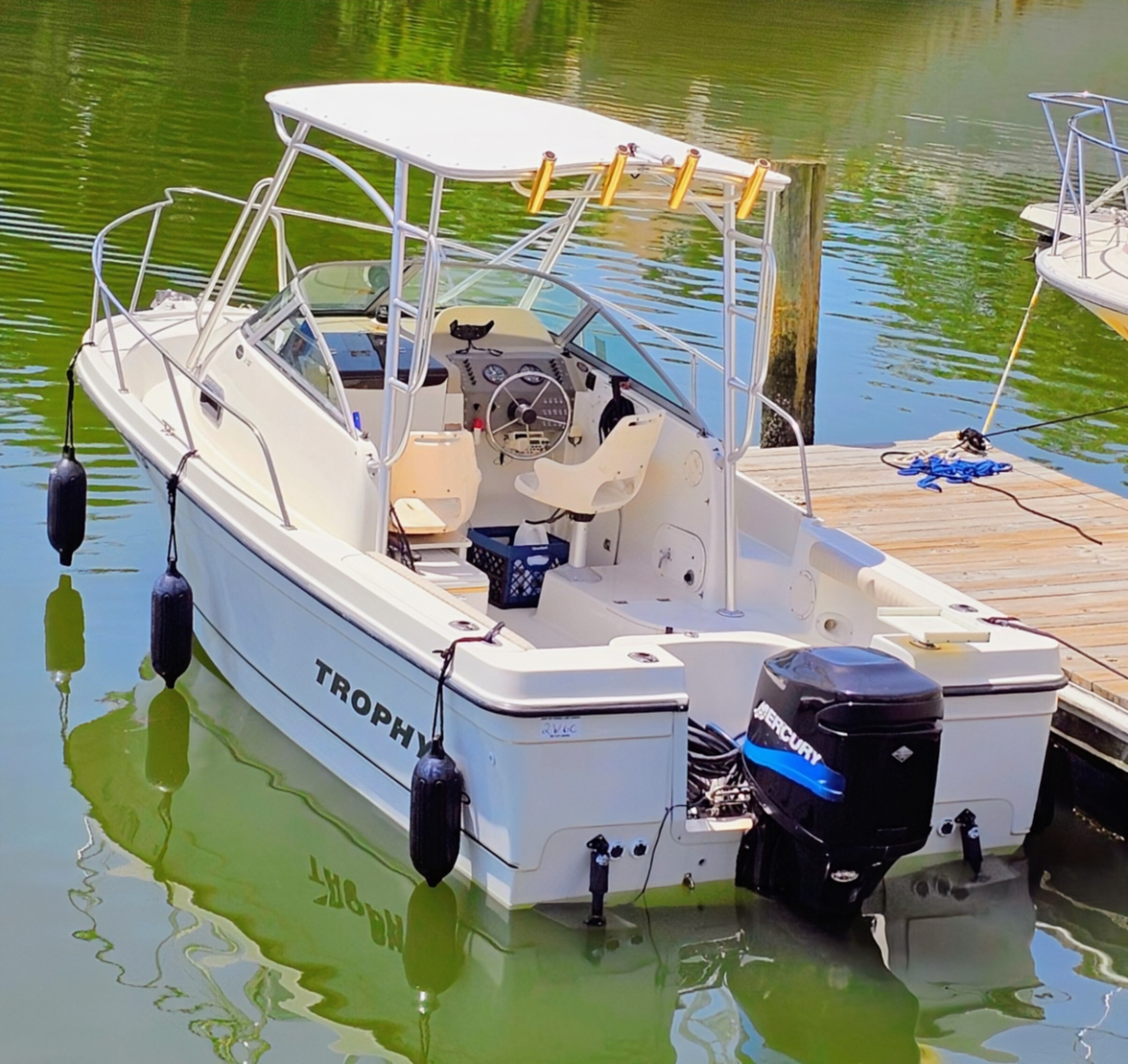 2002 Bayliner 2002 Trophy Walkaround in portsmouth VA