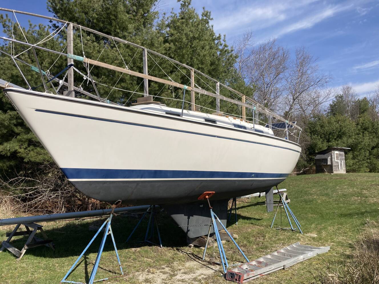 A photo of this 1983 Pearson 303 Pearson