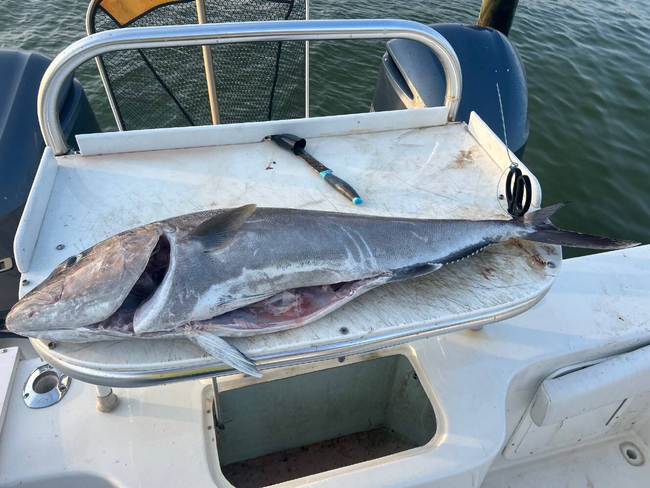 A photo of this 2006 Hydrocat Center Console