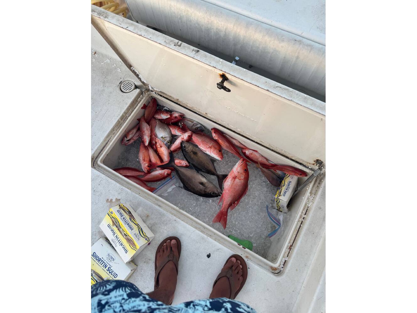 A photo of this 2006 Hydrocat Center Console